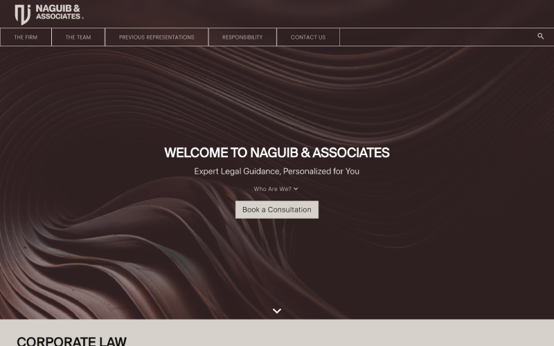 Naguib Law screenshot